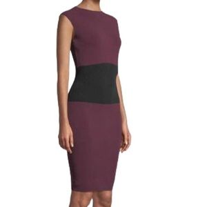 Milly Knit Sweater Dress in Burgundy and Black Size S
